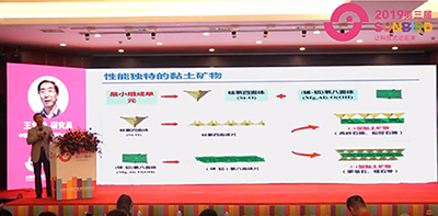 2019第三屆太陽(yáng)鳥畜牧產(chǎn)業(yè)無(wú)抗發(fā)展大會(huì)（王愛勤研究員報(bào)告）
