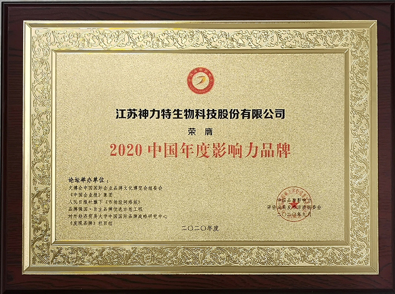 6、2020中國年度影響力品牌.jpg